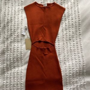 NWT Aritzia mini dress